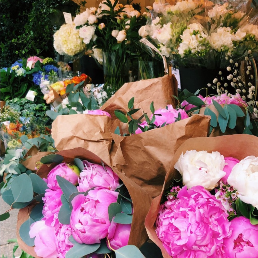 Meet your Posher, Anastasia